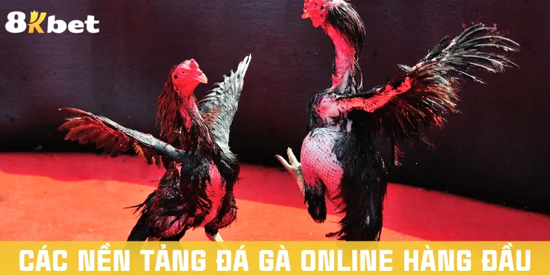 cac-nen-tang-da-ga-online-hang-dau