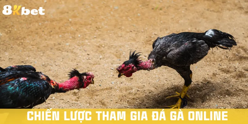 chien-luoc-tham-gia-da-ga-online